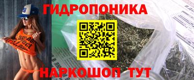 индика Первоуральск