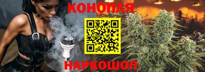 сатива Пенза