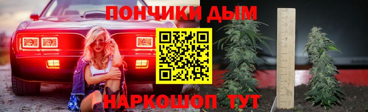 Канабис семена  Каннабис Bruce Banner  Самара  Вход с VPN  Канабис планчик 